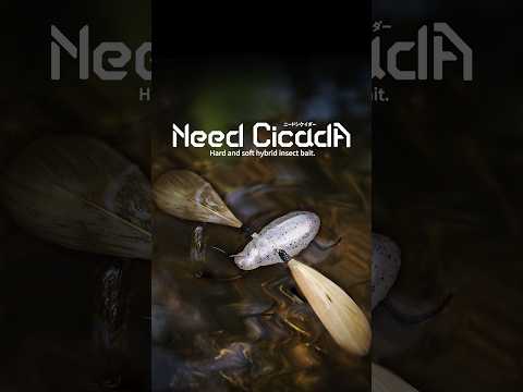 Jackall Need Cicada