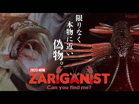 Raid Japan Zariganist