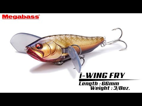 Vidéo nage Megabass i-WING FRY 